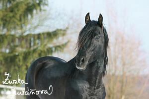 staj_ufonek31301