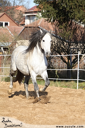 staj_ufonek252