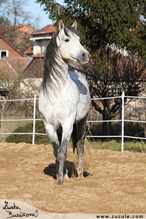 staj_ufonek868