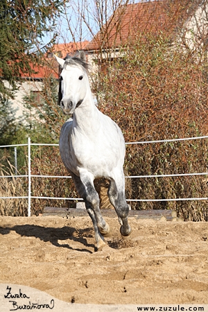 staj_ufonek1050