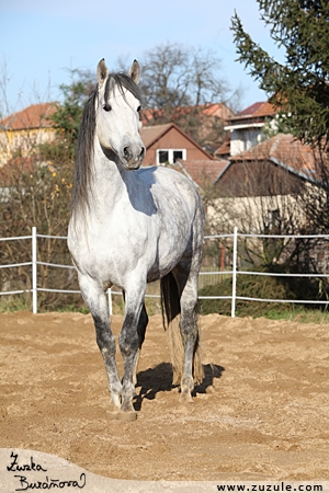staj_ufonek1190