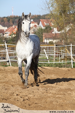 staj_ufonek1708