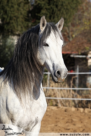 staj_ufonek2085