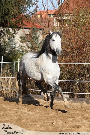 staj_ufonek4119