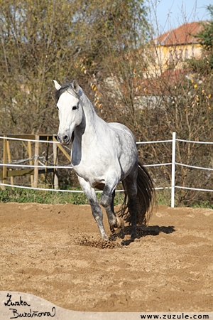 staj_ufonek4459