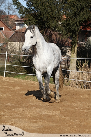 staj_ufonek6252