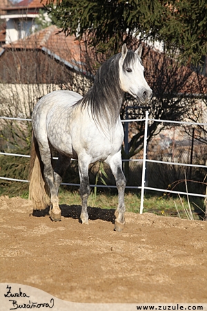 staj_ufonek7441