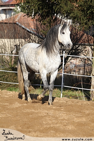 staj_ufonek8136