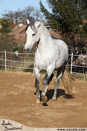 staj_ufonek8148