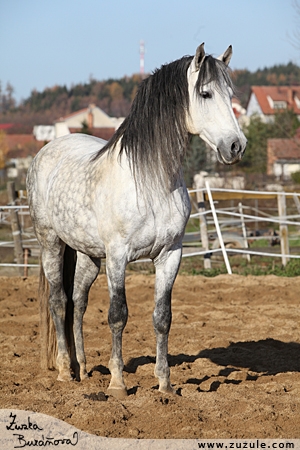 staj_ufonek9067