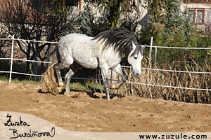staj_ufonek9826