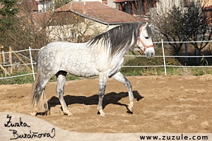 staj_ufonek9847