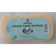 houba-na-myti-anglicka-detail