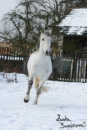staj_ufonek31272